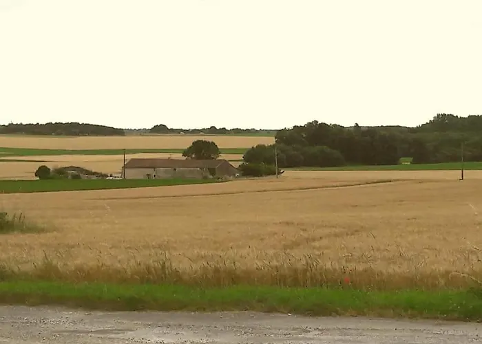 Vakantiehuis 10 Min De La Palmyre *